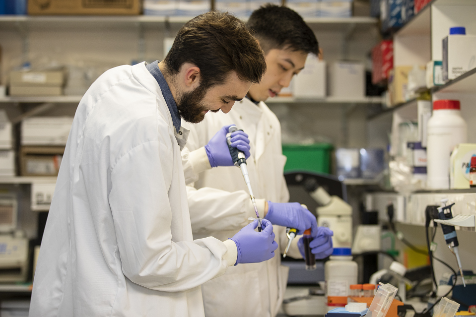 Researcher using a micropipette in a laboratory.